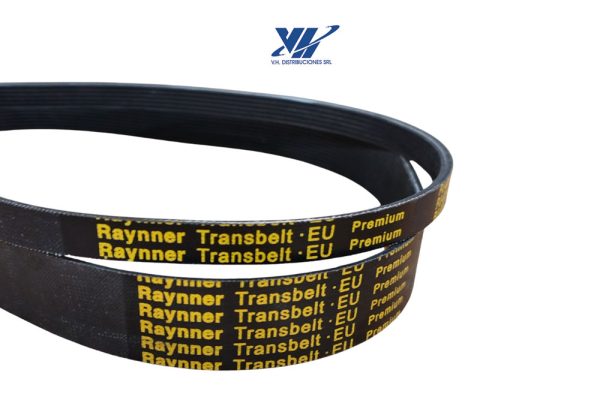 Correas Poly "V" - Raynner Transbelt Premium